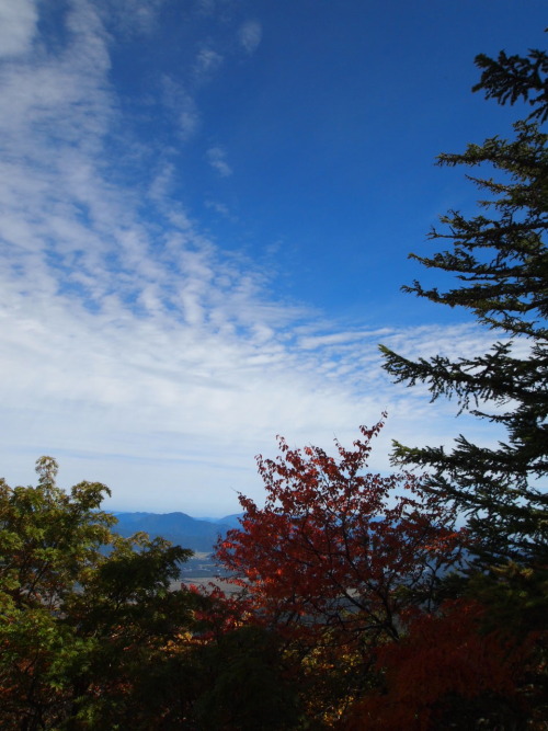 Octobre昨日富士山までドライブに行ったら紅葉が始まっていました。季節の移り変わる瞬間に出会えた休日の晴れ間。